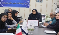بررسی شاخص‌های ۲۰گانه تعیین‌کننده‌های اجتماعی سلامت در دومین جلسه کمیته اجرایی SDH شهرستان شهرکرد