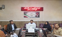 برگزاری دومین کمیته پیشگیری از رفتارهای خودآسیب رسان مرکز بهداشت شهرستان شهرکرد