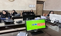 تداوم آموزش‌های تخصصی تیم سلامت؛ روز دوم کارگاه «خدمات استاندارد سالمندان» در شهرکرد برگزار شد