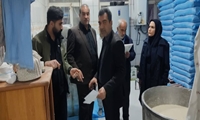بازدید مشترک مسئولان از نانوایی‌های شهرکرد برای نظارت بر کیفیت و روند توزیع نان